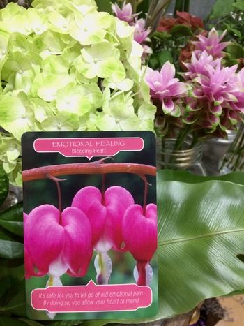 今日のお花からのメッセージ 今日のお花からのメッセージ
