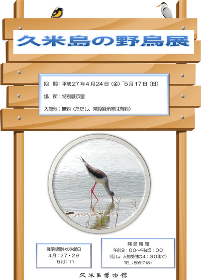 「久米島の野鳥展」開催中!! 「久米島の野鳥展」開催中!!