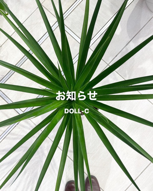 休養も大事☆充電時間頂きます。。。DOLL-C 休養も大事☆充電時間頂きます。。。DOLL-C