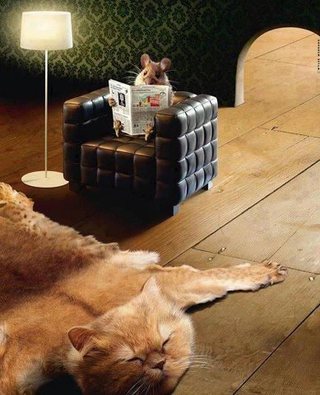 いぬそしてねこ。