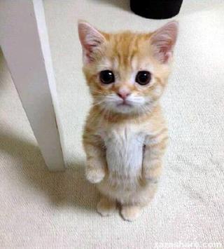 なにがって?