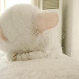 なにがって?