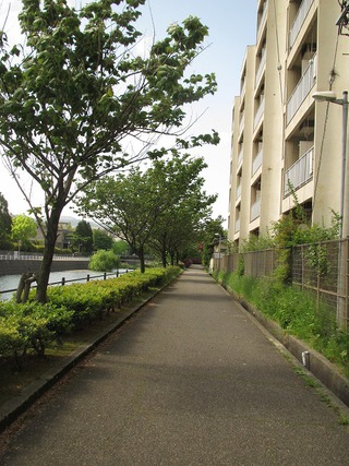 死に逝く春。