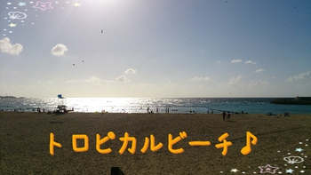 おすすめビーチ♪