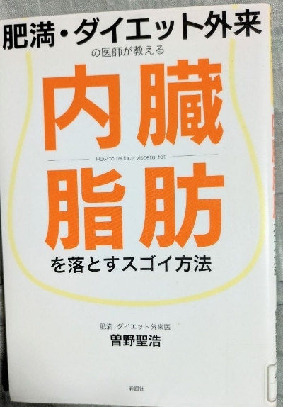 内臓脂肪 内臓脂肪
