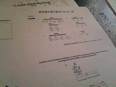 お勉強、納豆編。