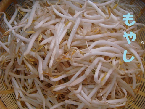 もやし①