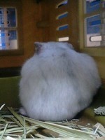 慰労会実現なるか（笑）