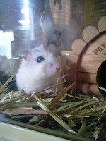 バタバタの予感
