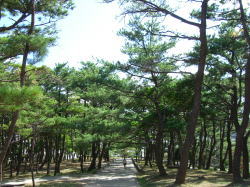 ☆世界遺産 座喜味城跡☆