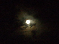 ☆お疲れ様 2006/12/07 22:36:21