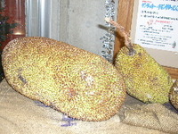 ☆ﾊﾟﾗﾐﾂ 2006/12/10 19:24:40