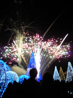 ☆2012年始動♪