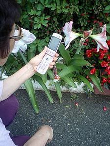 ばあさん写メール挑戦