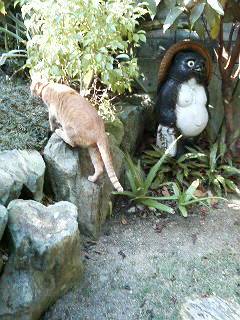 猫の気持ち②