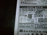 新聞広告 2008/05/17 13:46:11