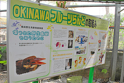 行ってきました!OKINAWAフルーツらんど♪
