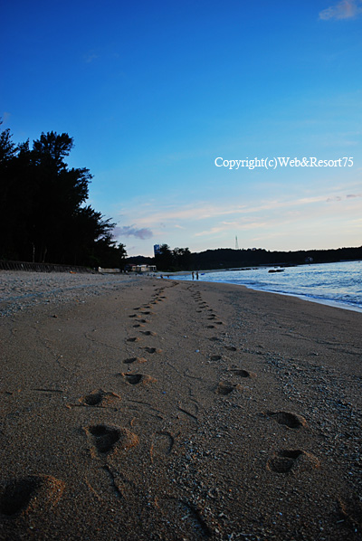 beach