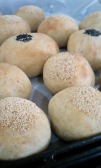 ただいま♪ 2008/06/20 17:41:27