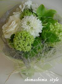 風薫る５月～♪ 2008/05/02 16:58:51