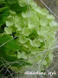 お知らせ♪ 2008/05/21 08:41:45