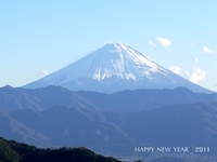 2011年01月06日
