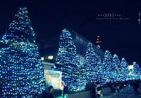 2010年12月16日