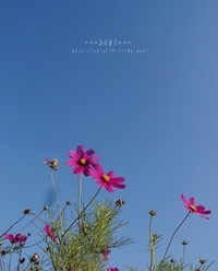 2010年12月12日