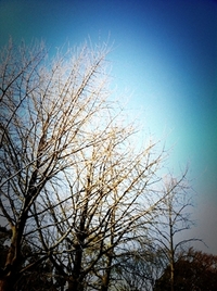 2011年01月24日
