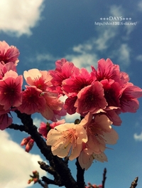 2011年02月04日