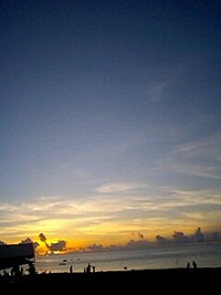 今年初 2008/07/05 19:27:00