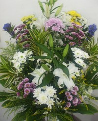 供花 2011/11/03 16:18:41