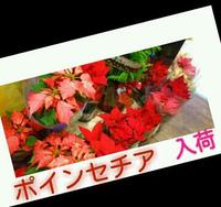 ＼(^o^)／ 2011/12/06 21:33:24