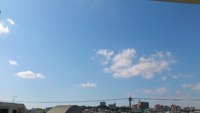 多肉＆ハーブ 2012/02/01 13:54:04