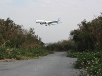 うょしでこどはここ 2008/05/28 14:33:37