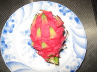 またまた頂戴