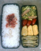 きょうの弁当＆現場 2008/05/03 12:43:08