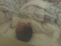 ☆New Born Baby☆ 2007/11/23 20:27:13