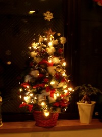 師走です。 2007/12/02 21:44:24