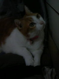 2009年05月06日