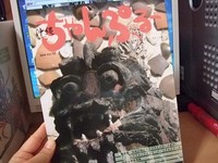 シーサー特集！ 2008/07/04 08:48:32