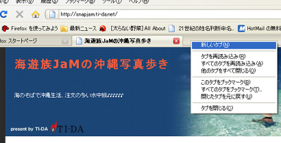 Firefox 3 の画面
