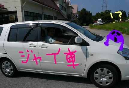 沖縄旅行③ (沖ハムさんの動物たちと私たち編)