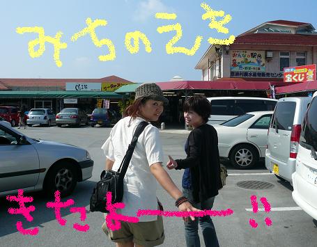 沖縄旅行④ (恩納村のみちの駅と食い倒れツアー編)