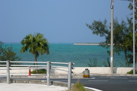 沖縄旅行④ (恩納村のみちの駅と食い倒れツアー編)