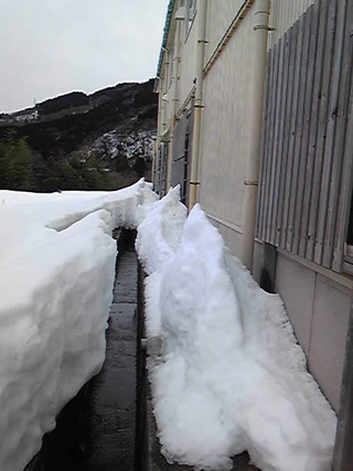 なんなんでしょうかねぇ。