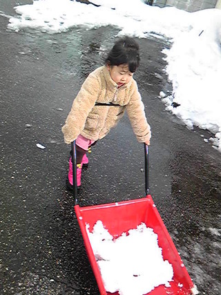 雪よりも困り者。