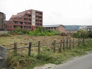 Where have the 雉 gone?