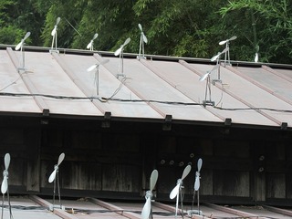 風力発電