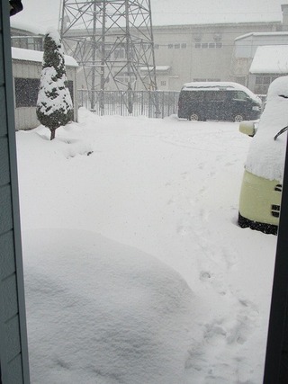 雪よりも困り者。